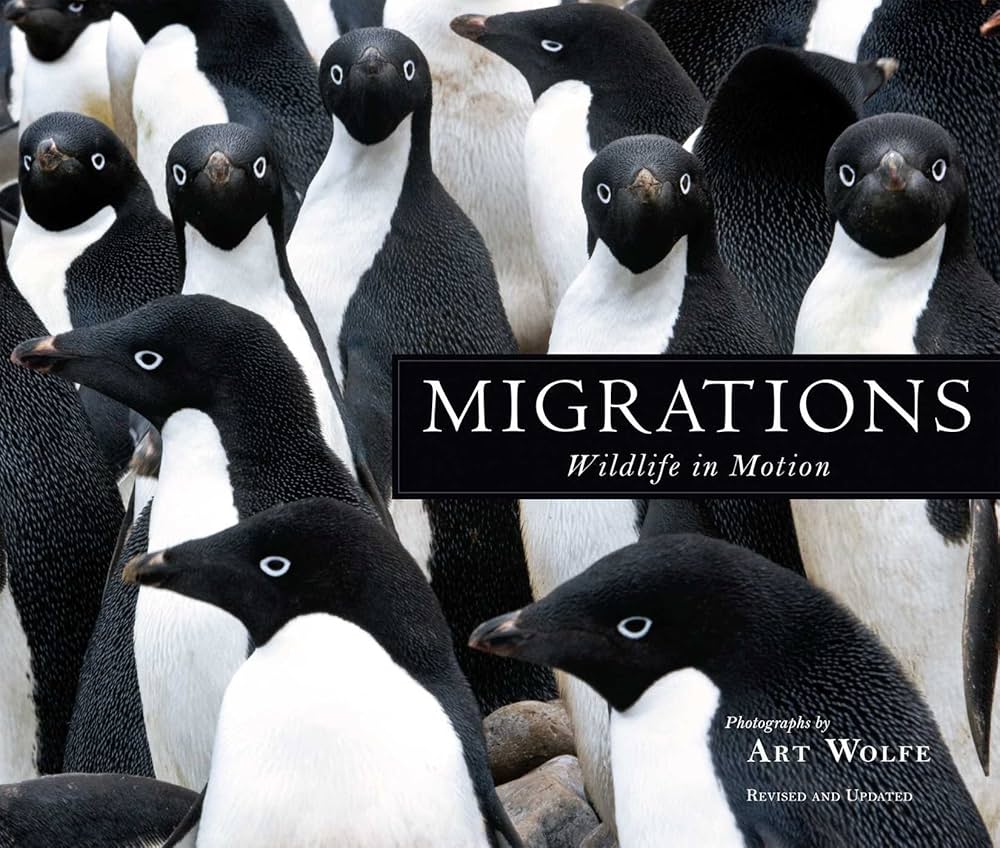 Amazon.com: Migrations: Wildlife in Motion: 9781608877140